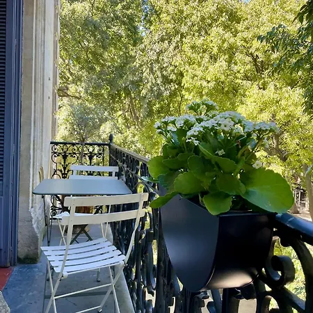 Appartement , Renove Dans Immeuble Classe.